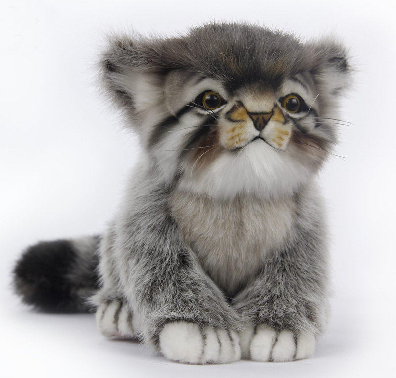 Pallas Kitten Soft Toy by Hansa